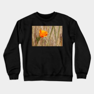 Poppy Crewneck Sweatshirt